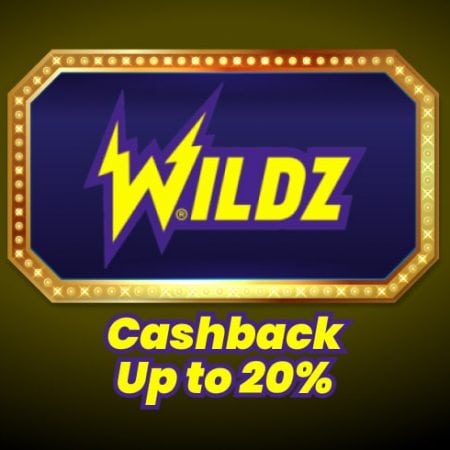 How to Get Wildz Cashback Up to 20%