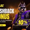 Wildz Cashback Bonus: Clear, Practical Advice to Keep More of Your Bankroll